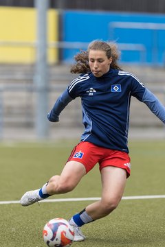 Bild 167 - wBJ Hamburger SV - FC Suederelbe : Ergebnis: 9:0